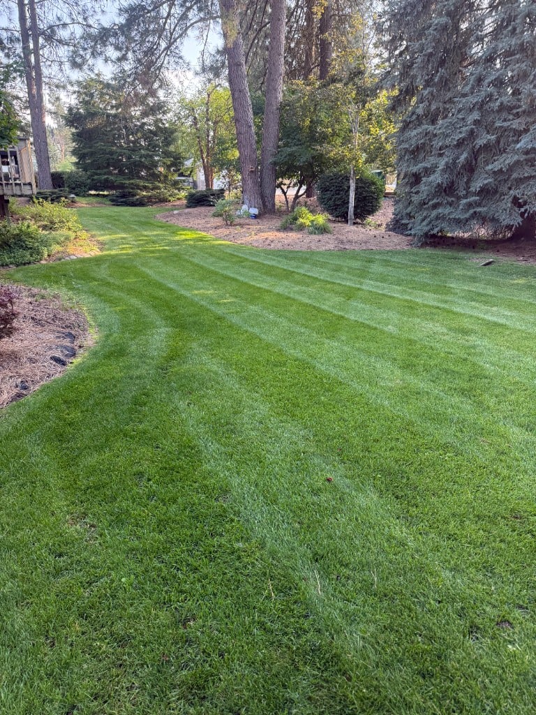 Beautifully maintained backyard lawn and garden beds