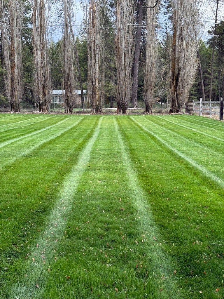 Large backyard with freshly striped grass