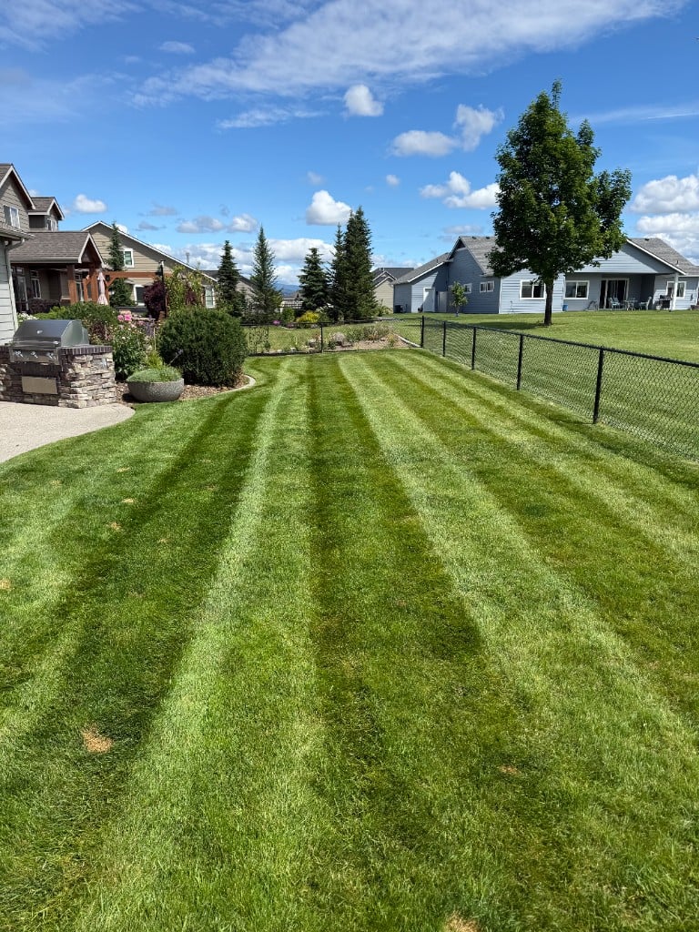 Suburban backyard with striped lawn and outdoor living space