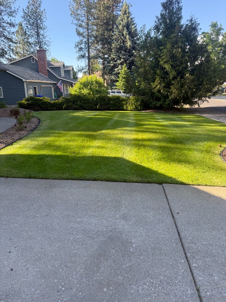 Suburban front yard with clean mow lines